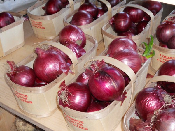 red-onions