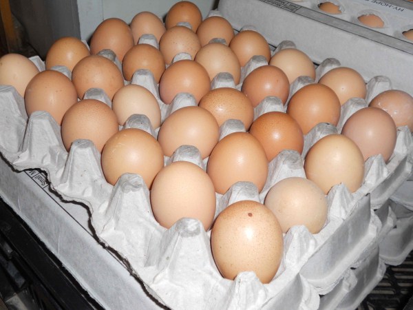 farm-fresh-eggs